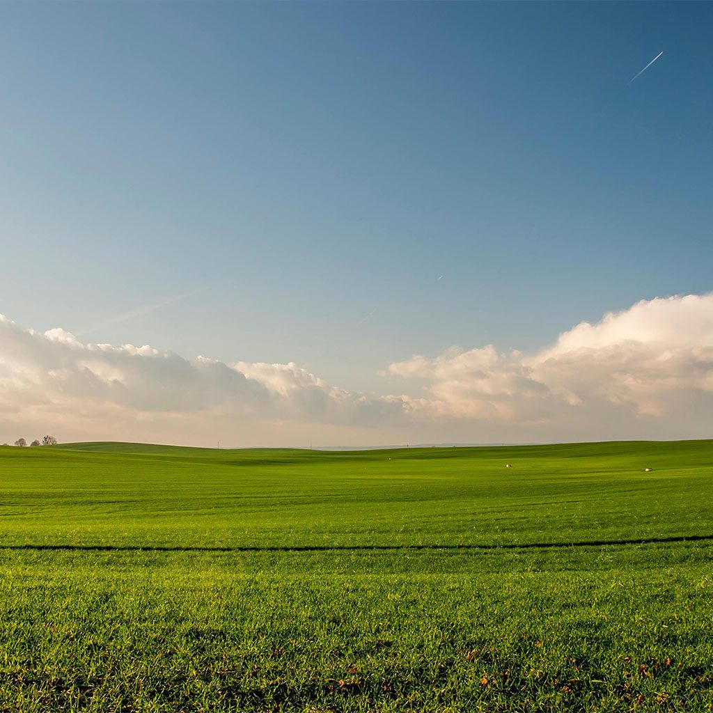campo aperto1